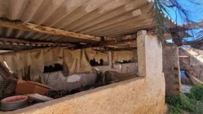 Rustic property in Canjáyar photo 61