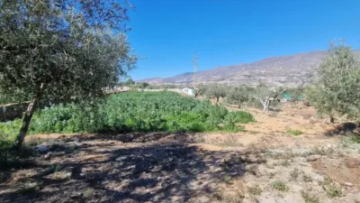 Rustic property in Canjáyar photo 6