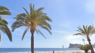 Apartment in Platja de Ponent photo 19