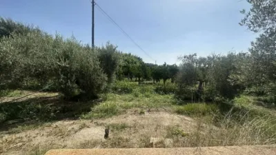 Rustic house in Bentarique photo 13