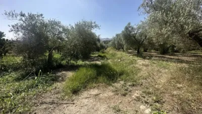 Rustic house in Bentarique photo 14