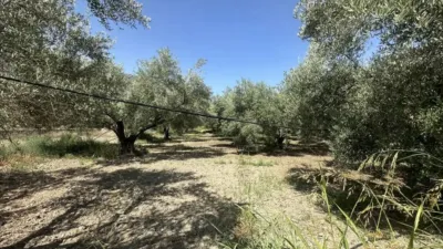 Rustic house in Bentarique photo 15