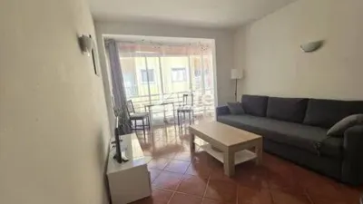 Apartment on Calle Central photo 7