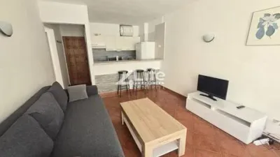 Apartment on Calle Central photo 8