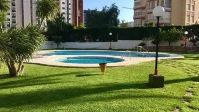 Pis – Benidorm - Vista 2
