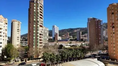Pis – Benidorm - Vista 4