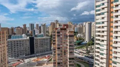 Pis – Benidorm - Vista 5