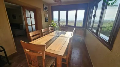 Chalet in El Molar photo 12