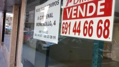 Miniatura 12