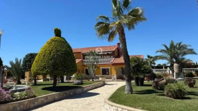 Casa – Elx - Elche - Más