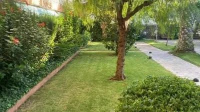 Apartment in Barri de Mar-Ribes Roges-Plaça de la Sardana photo 30