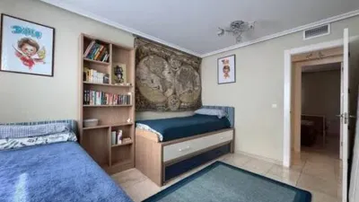 Penthouse on Calle de Alemania photo 20