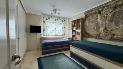 Penthouse on Calle de Alemania photo 21
