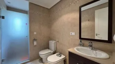 Penthouse on Calle de Alemania photo 23
