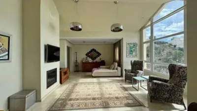Penthouse on Calle de Alemania photo 6
