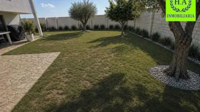 Chalet in El Molar photo 3