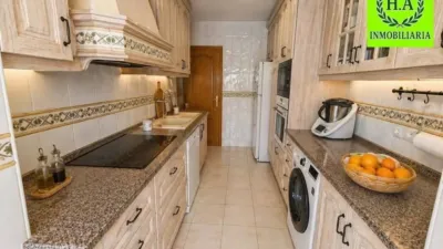 Chalet in El Molar photo 7