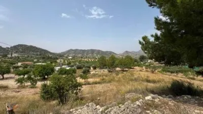 Chalet en Ricote photo 22