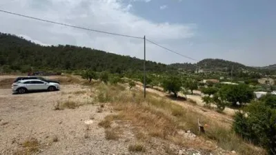 Chalet en Ricote photo 23