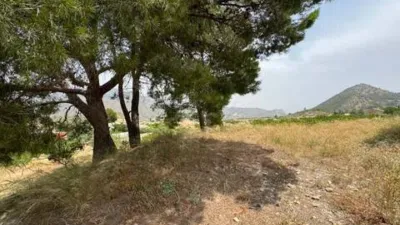 Chalet en Ricote photo 24