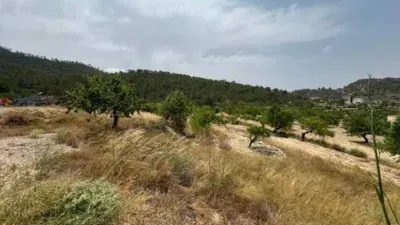Chalet en Ricote photo 30