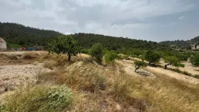 Chalet en Ricote photo 31