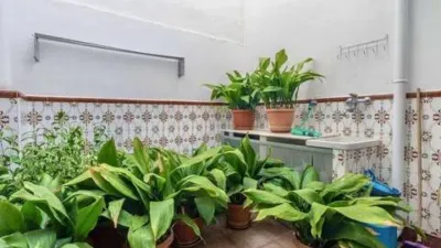 Townhouse in Teulada photo 33