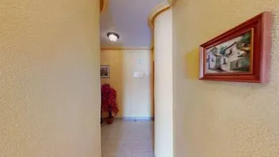 Apartment in Torrevieja - Més