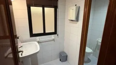 Miniatura 12