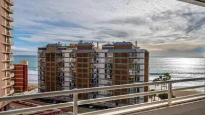 Apartment in Las Adelfas-Benicolada-Garduix photo 2