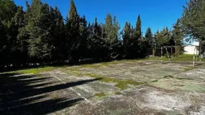 Miniatura 9