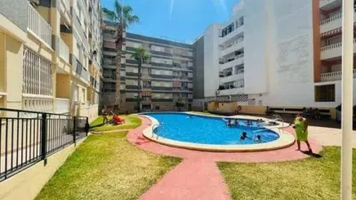 Apartment in Playa del Cura photo 19
