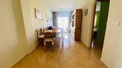 Pis – Torrevieja - Vista 5