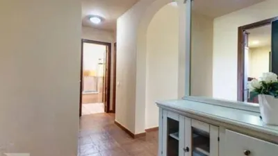 Apartment in Isla de Canela photo 3