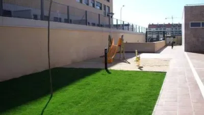 Miniatura 12