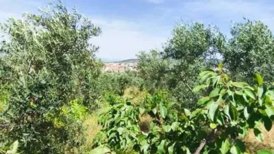 Rustic house in Plasencia photo 19