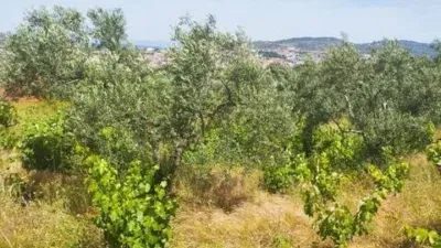 Rustic house in Plasencia photo 6