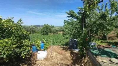 Rustic house in Plasencia photo 7