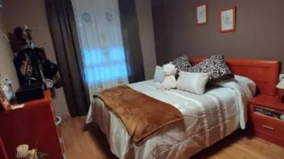 Apartment in Plasencia photo 8