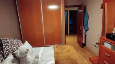 Apartment in Plasencia photo 9