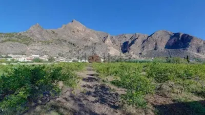 Casa – Callosa de Segura, El Cementerio - Vista 4