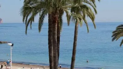 Duplex Penthouse at Playa de Levante or La Fossa photo 28