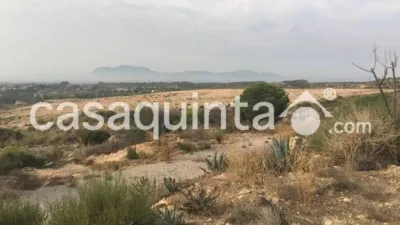 Casa – Crevillent, el Baix Vinalopó - Vista 5