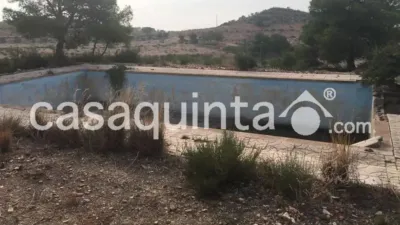 Casa – Crevillent, el Baix Vinalopó - Més