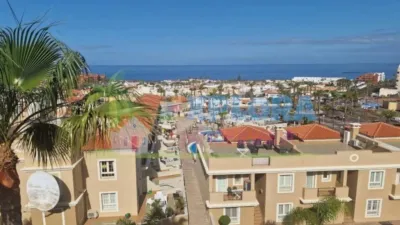 Apartment on Calle de los Falcones, 20 photo 2
