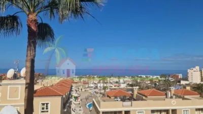 Apartment on Calle de los Falcones, 20 photo 8