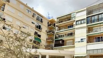 Pis – el Campello, Platja de Mutxavista - Vista 2