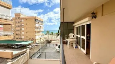 Pis – el Campello, Platja de Mutxavista - Vista 3