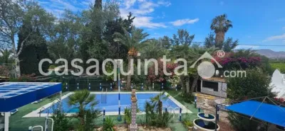 Casa – Crevillent, el Baix Vinalopó - Vista 3
