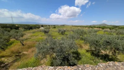 Rustic house in Fuente Álamo de Murcia photo 34